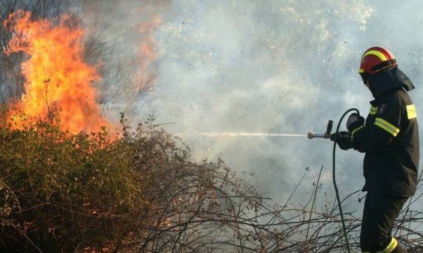 Φωτιά ΤΩΡΑ: Σε εξέλιξη πυρκαγιά σε αγροτοδασική έκταση στην περιοχή Φραγκαβίλα Αμαλιάδας