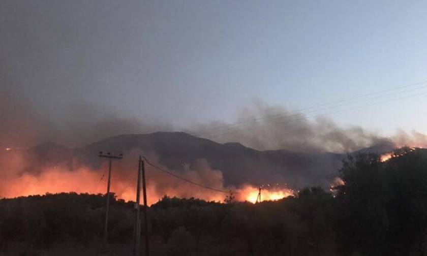 Φωτιά ΤΩΡΑ: Σε ύφεση η πυρκαγιά στην Αμαλιάδα