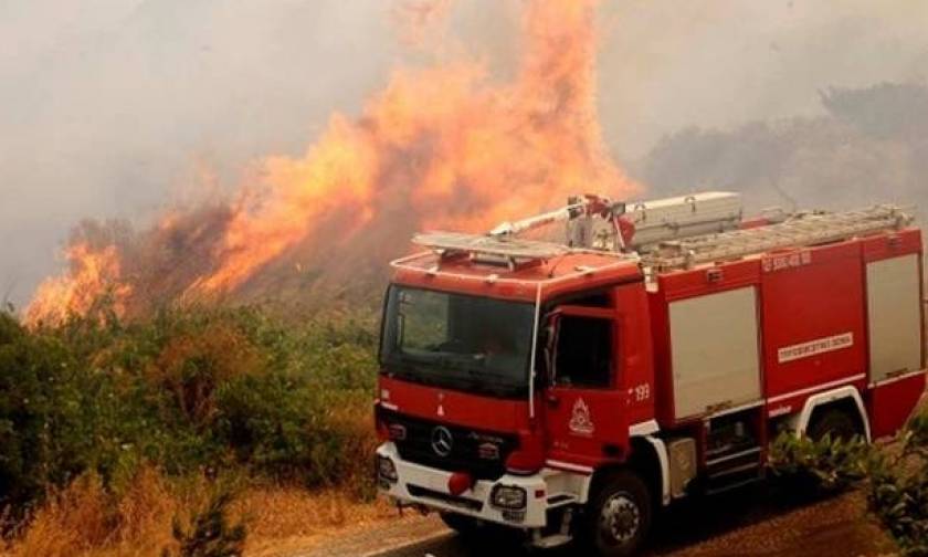 Φωτιές: Ξέσπασαν 54 δασικές πυρκαγιές μέσα σε ένα 24ωρο – Πολύ υψηλός και σήμερα ο κίνδυνος