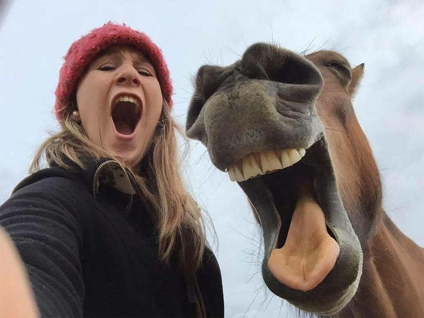 Όταν η φύση έχει κέφια: Οι πιο αστείες φωτογραφίες των βραβείων Comedy Wildlife (Pics)