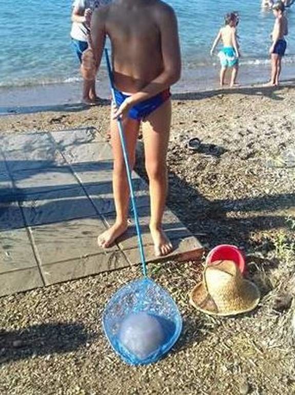 Τρόμος στις ελληνικές θάλασσες – Έπαθαν σοκ με αυτό που έπιασε ένα αγόρι σε παραλία της Αχαΐας (pic)
