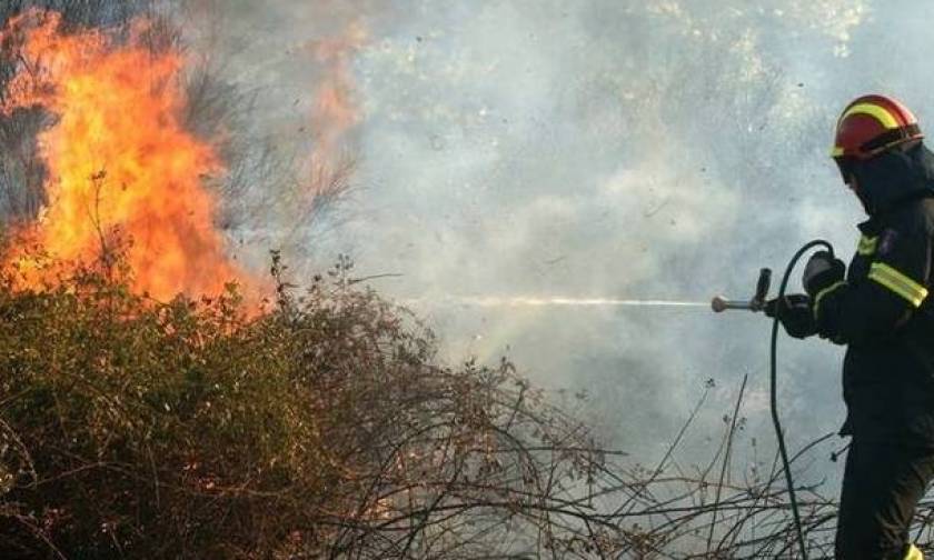 Φωτιά: Στις φλόγες ο οικισμός της Κνωσού - «Στάχτες» 15 στρέμματα γεωργικής έκτασης
