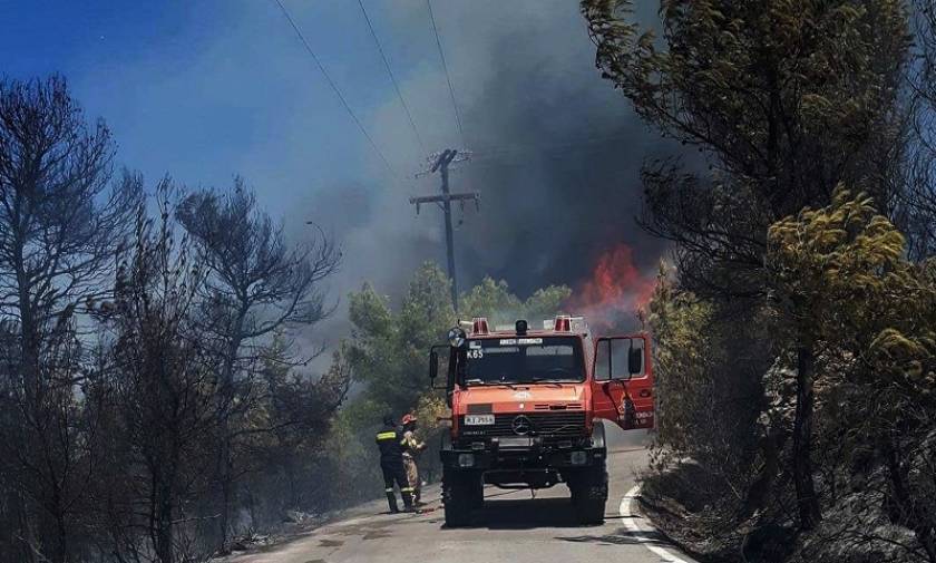 Μεγάλη φωτιά σε δασική περιοχή στη Μυτιλήνη
