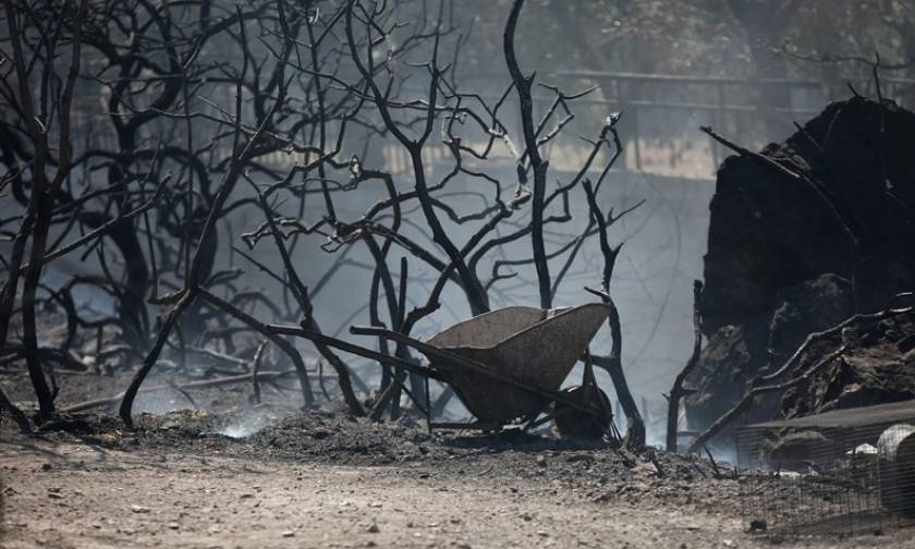 «Κρανίου τόπος» η Ανάβυσσος – Τρεις πυροσβέστες στο νοσοκομείο, κάηκαν σπίτια και οχήματα