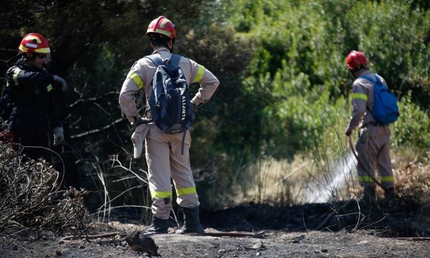 Φωτιά στην Ανάβυσσο: Ποια η κατάσταση της υγείας των τριών πυροσβεστών