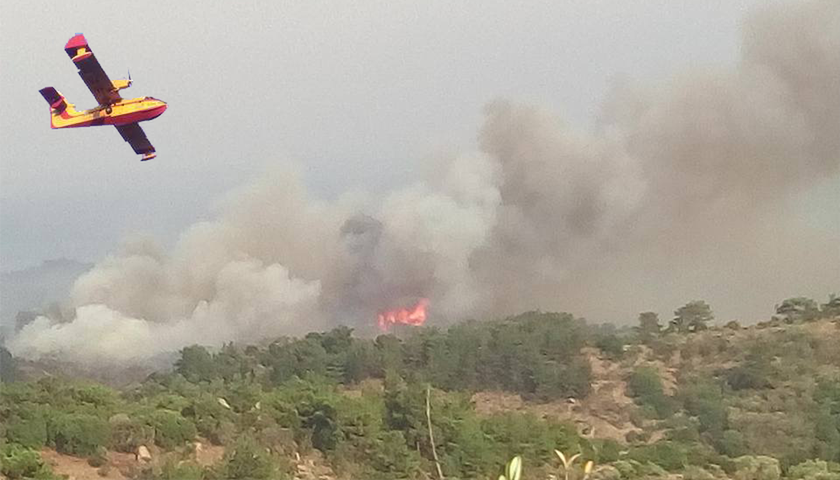 Φωτιά Μυτιλήνη - Καταγγελία - σοκ για τη μεγάλη πυρκαγιά που ξέσπασε στο νησί