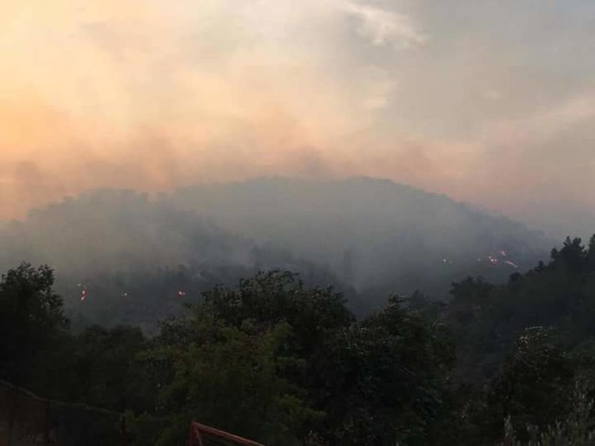 Φωτιά Μυτιλήνη - Καταγγελία - σοκ για τη μεγάλη πυρκαγιά που ξέσπασε στο νησί