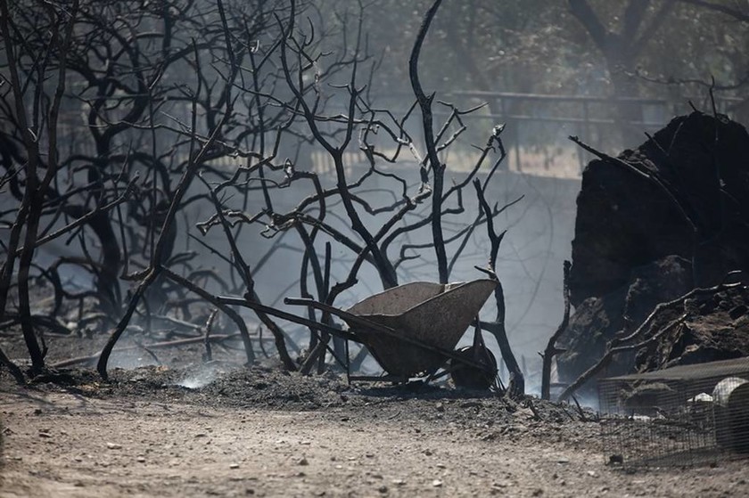 Φωτιά Λαγονήσι: Κρανίου τόπος η περιοχή - Εικόνες που σοκάρουν από την πύρινη καταστροφή