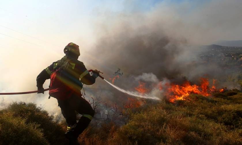 Νέος πύρινος εφιάλτης: Μεγάλη φωτιά στην Ηλεία