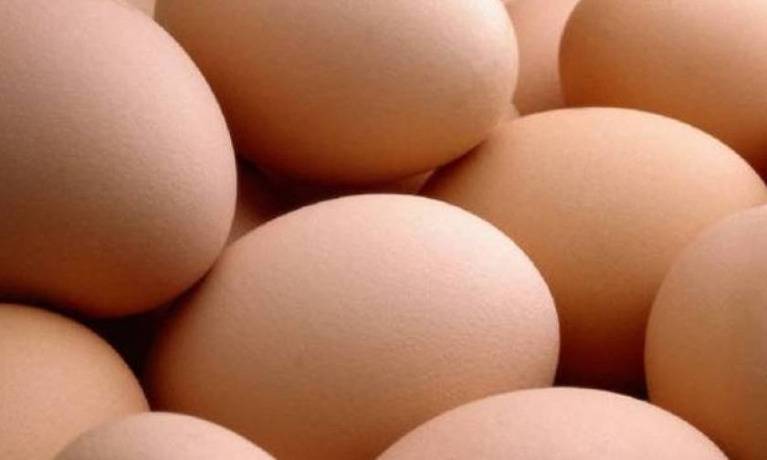 Συναγερμός στην Ευρώπη για τα μολυσμένα αυγά με εντομοκτόνο