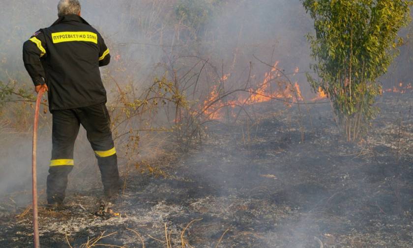 Φωτιά στο Μενίδι: Με αυτοθυσία των πυροσβεστών σώθηκαν τα σπίτια