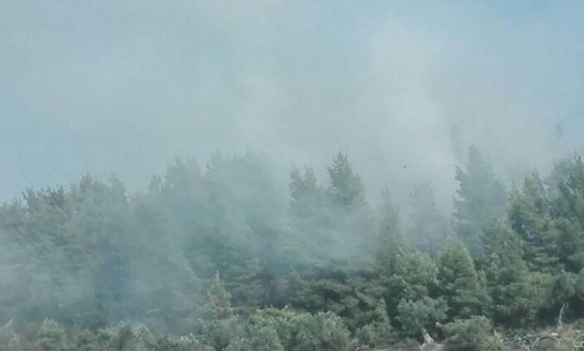 Πυρκαγιά σε δασική περιοχή στο Ποσείδι Χαλκιδικής (pics & vid)