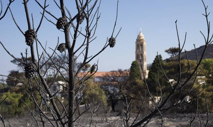 Fire brigade team starts probing causes of Kythera fire