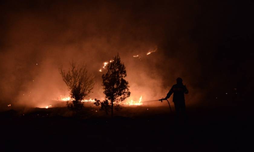 Πύρινος εφιάλτης πάλι στο Γαλάτσι: Φωτιά στο Άλσος Βεΐκου