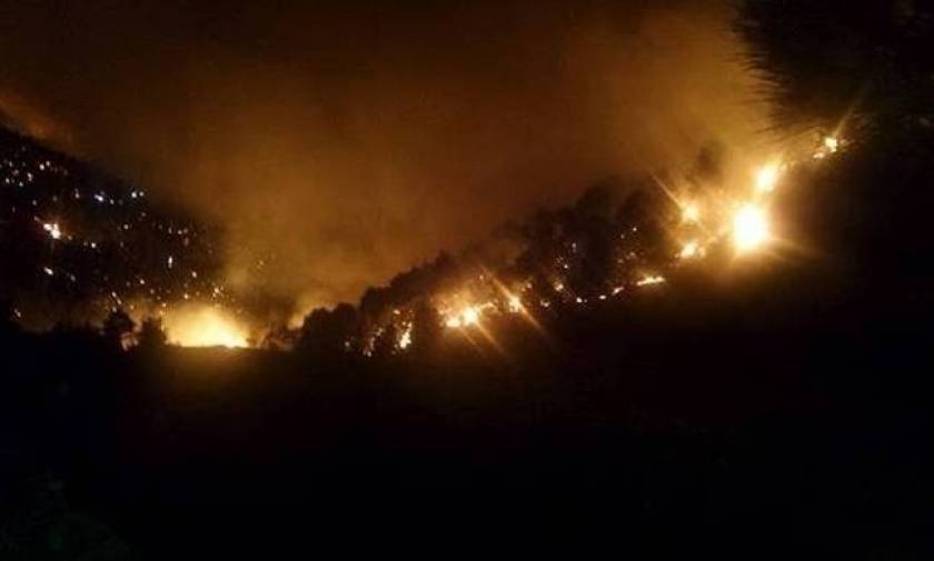 Φωτιά: Υπό μερικό έλεγχο η πυρκαγιά κοντά στο Άλσος Βεΐκου