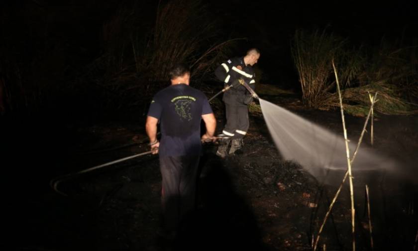 Εμπρησμός από πρόθεση η φωτιά στο Άλσος Βεΐκου - Σε επιφυλακή η Πυροσβεστική Υπηρεσία