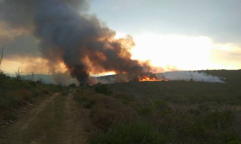 Φωτιά: Υπό μερικό έλεγχο η πυρκαγιά στα Αμπέλια Αγρινίου