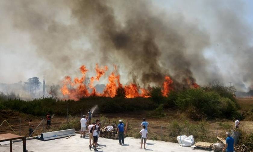 Πρέβεζα: Μεγάλη φωτιά έφτασε κοντά στα σπίτια (pics)