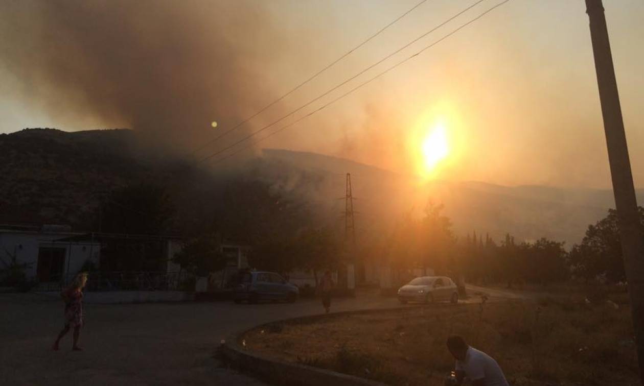 Φωτιά ΤΩΡΑ: Σε πύρινο κλοιό 10 ελληνικά χωριά στην Αλβανία - Βοήθεια έστειλε η Ελλάδα (pics&vids)