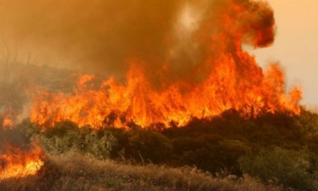 Κόλαση φωτιάς! Στις φλόγες τα χωριά της ελληνικής μειονότητας στην Αλβανία