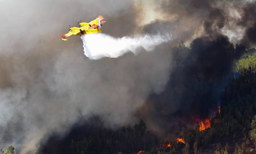 Στις φλόγες η Πορτογαλία: Ισχυρές πυρκαγιές έχουν κάψει δεκάδες χιλιάδες στρέμματα (Pics+Vids)