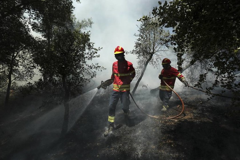 Στις φλόγες η Πορτογαλία: Ισχυρές πυρκαγιές έχουν κάψει δεκάδες χιλιάδες στρέμματα (Pics)