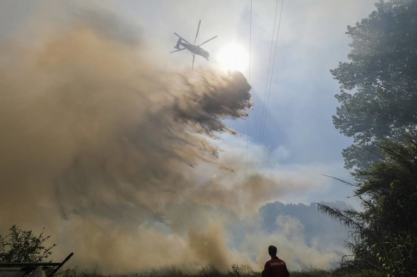 Στις φλόγες η Πορτογαλία: Ισχυρές πυρκαγιές έχουν κάψει δεκάδες χιλιάδες στρέμματα (Pics)
