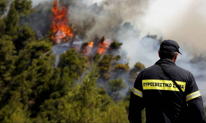 Φωτιά ΤΩΡΑ: Μεγάλη πυρκαγιά μαίνεται στην Καβάλα