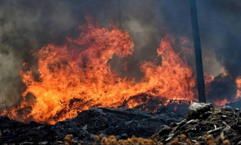 Φωτιά Ζάκυνθος: Η σοκαριστική φωτογραφία που «γκρέμισε» το Διαδίκτυο (pic)