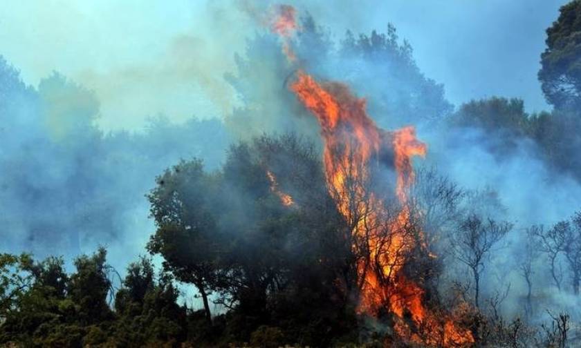 Λασίθι: Υπό μερικό έλεγχο η φωτιά στο Στόμιο Ιεράπετρας