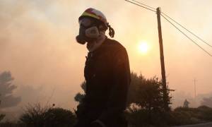 Φωτιά Κάλαμος: Πύρινη κόλαση - Βιβλική καταστροφή σε Κάλαμο και Βαρνάβα (pics+vids)