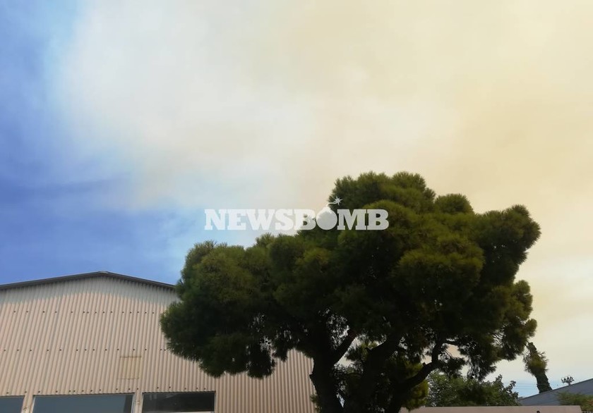 Φωτιά Κάλαμος - Συγκλονιστικές φωτογραφίες: Οι καπνοί «έπνιξαν» τα βόρεια προάστια της Αθήνας 
