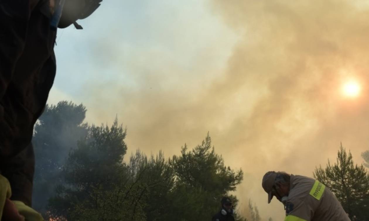 Φωτιά Κάλαμος: Η φωτογραφία του πυροσβέστη που συγκλονίζει