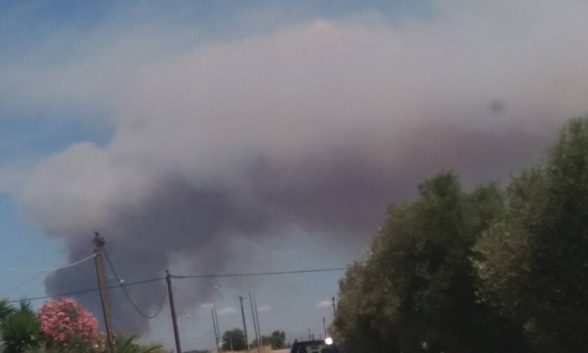 Φωτιά στην Αμαλιάδα: Αρνούνται οι κάτοικοι να εγκαταλείψουν το χωριό Ανάληψη (pics)