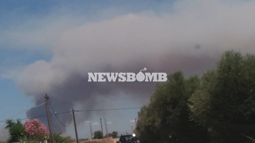 ΕΚΤΑΚΤΟ: Φωτιά στην Αμαλιάδα – Συναγερμός – Εκκενώνεται χωριό 