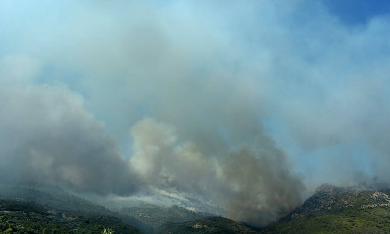 Φωτιά LIVE: Υπεράνθρωπες προσπάθειες για να τεθεί υπό έλεγχο το πύρινο μέτωπο στην Αττική