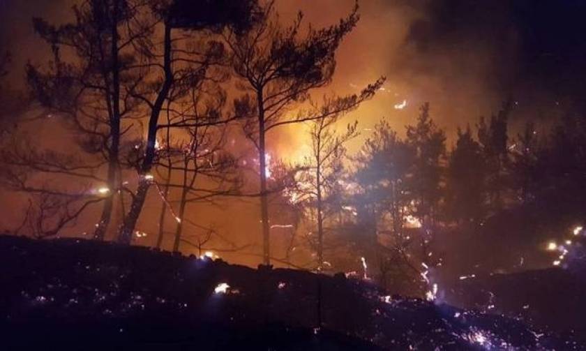 Μαίνονται οι πυρκαγιές στην Ηλεία: Τέσσερα μέτωπα ξέσπασαν ταυτόχρονα
