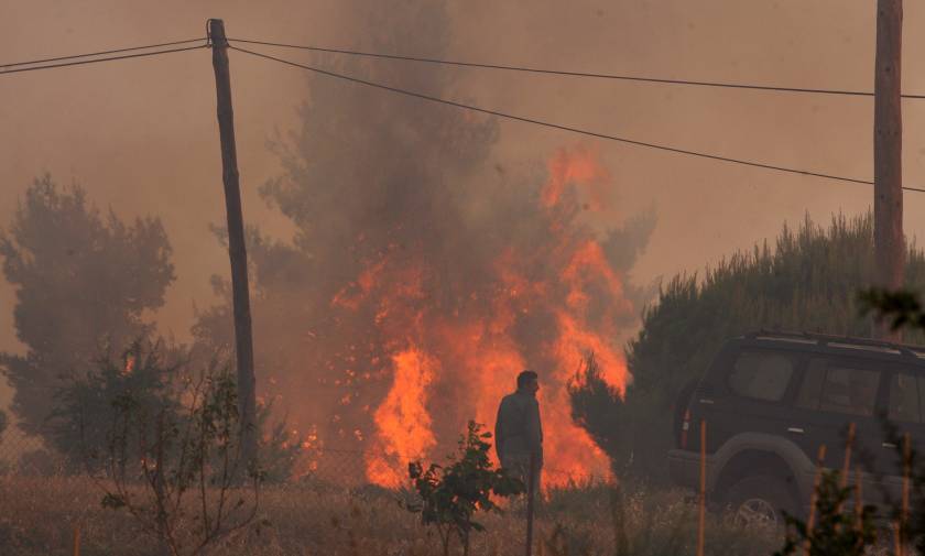 «Αδειάζει» την κυβέρνηση η Πυροσβεστική: Τα αίτια των πυρκαγιών διερευνώνται