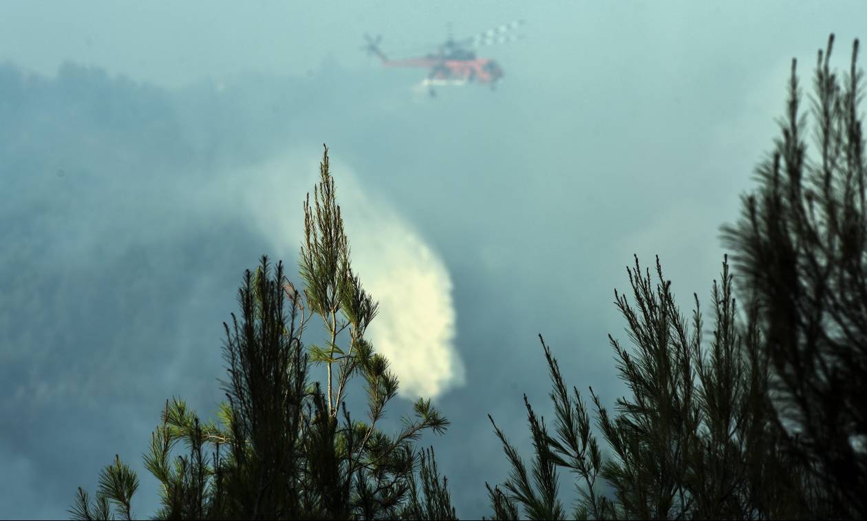 Φωτιά τώρα: Η ενημέρωση της Πυροσβεστικής για τις πυρκαγιές σε όλη την Ελλάδα