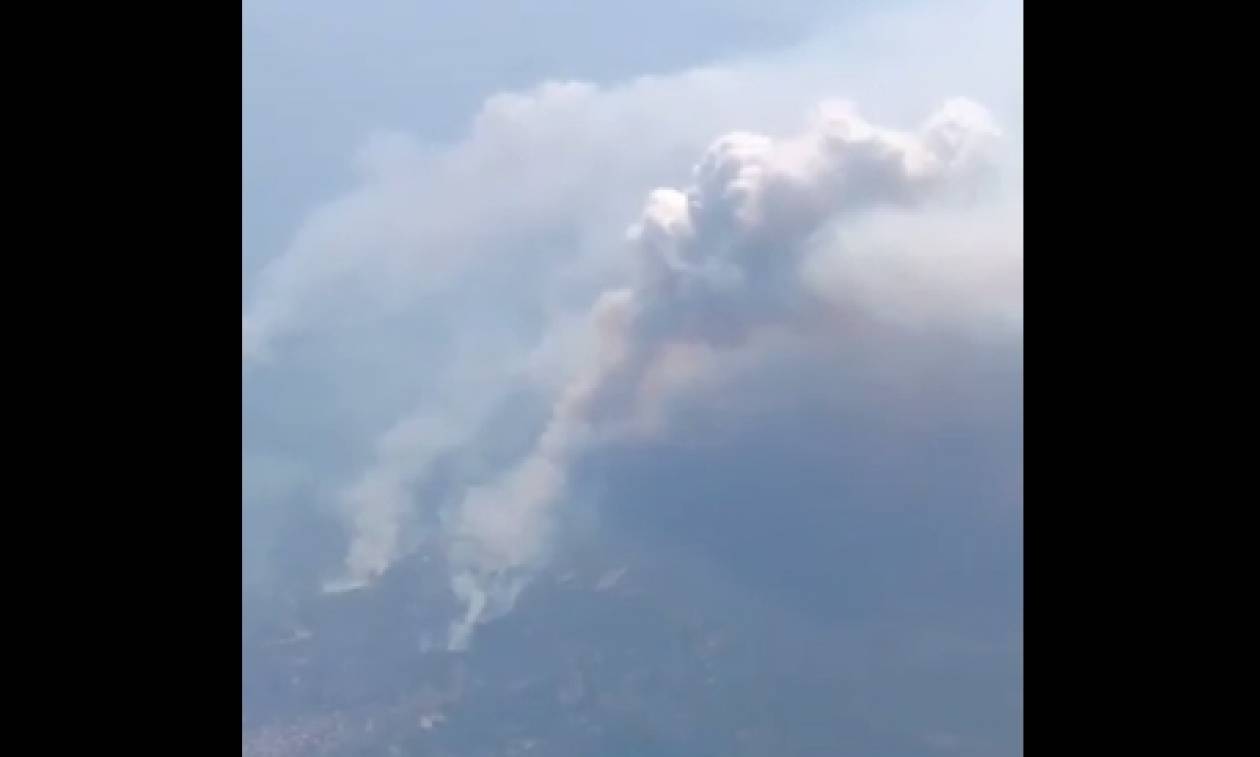 Φωτιά ΤΩΡΑ: Δραματικό βίντεο - Πώς φαίνονται από ψηλά οι πυρκαγιές στην Αττική (vid)