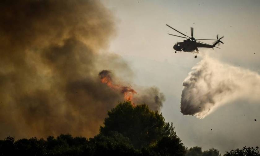 A total of fifty five wildfires reported in the last 24h in Greece