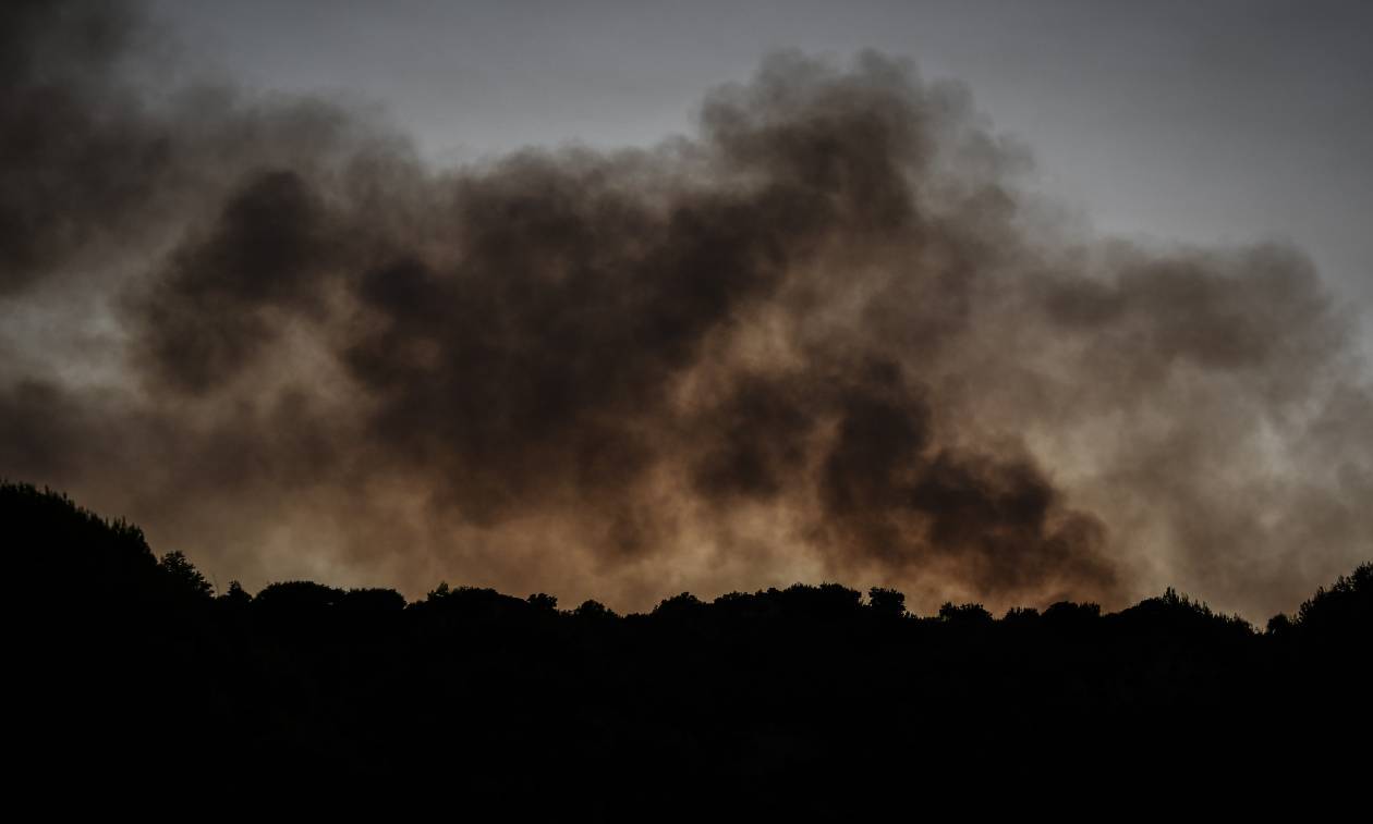 Φωτιά LIVE: Τρίτη μέρα καταστροφής και ολέθρου στο Καπανδρίτι