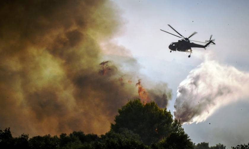 Φωτιά ΤΩΡΑ: Ανεξέλεγκτη η πυρκαγιά στην Ηλεία - Εκκενώνεται χωριό