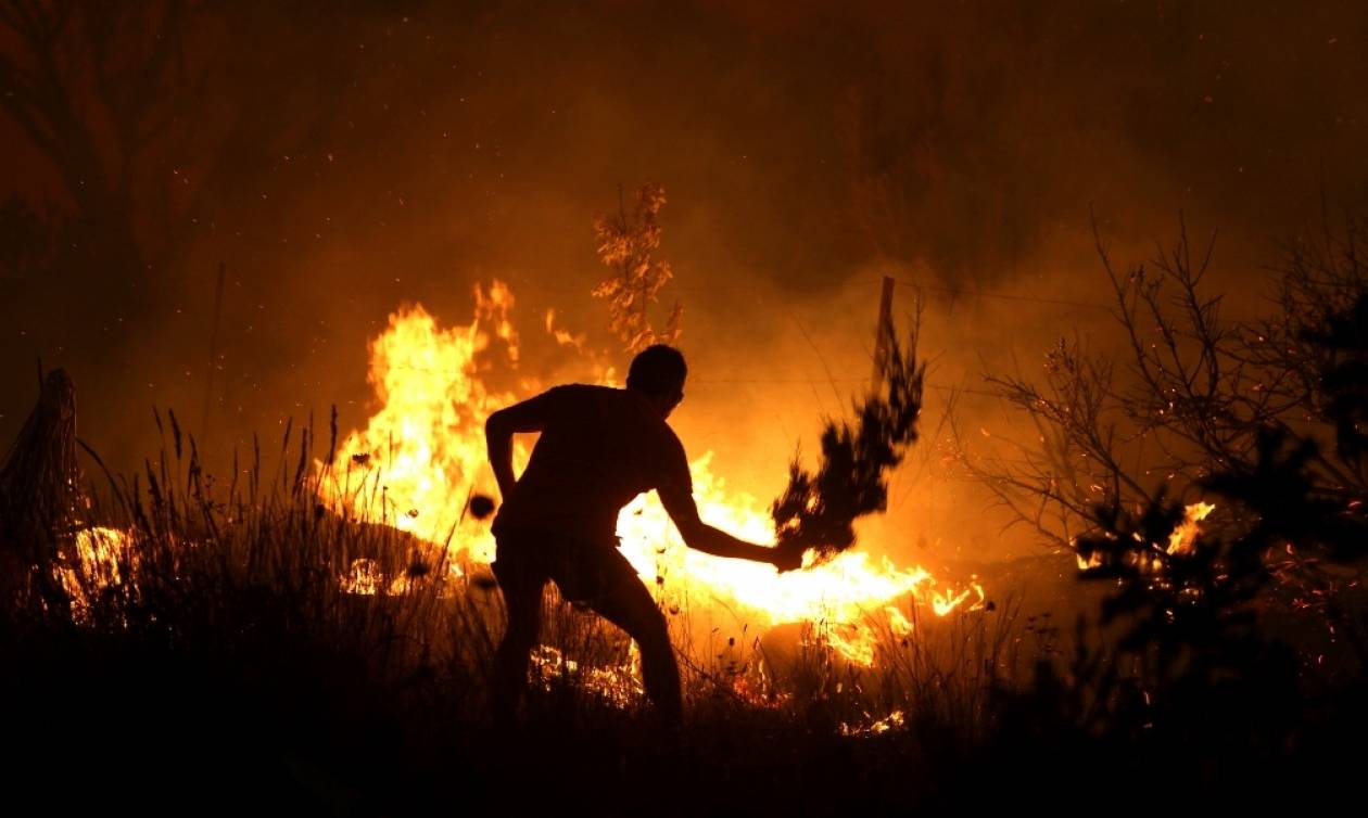 Φωτιά στην Αττική - Η πυρκαγιά απειλεί το Πολυδένδρι