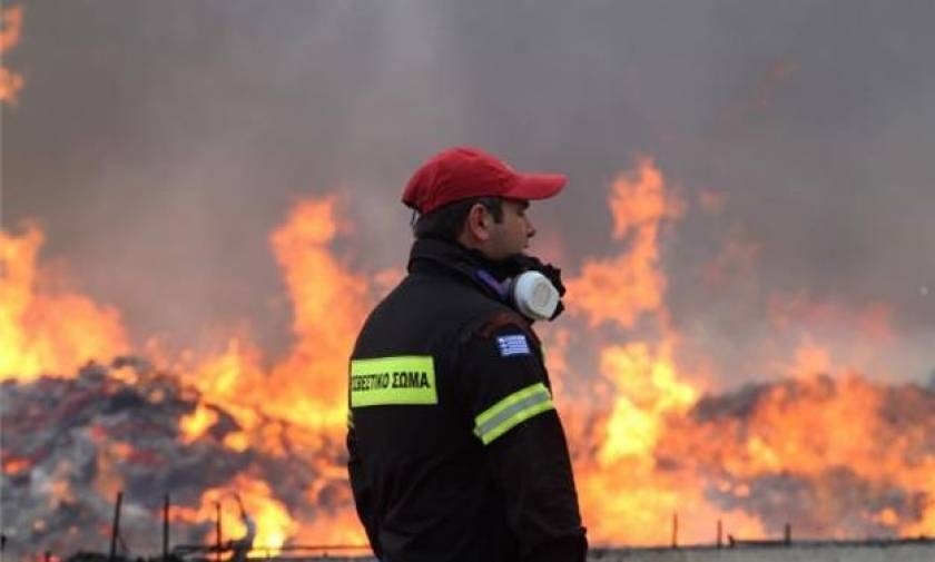 Φωτιά ΤΩΡΑ: Αίτημα για ευρωπαϊκή συνδρομή με εναέρια μέσα για την κατάσβεση των πυρκαγιών (vid)