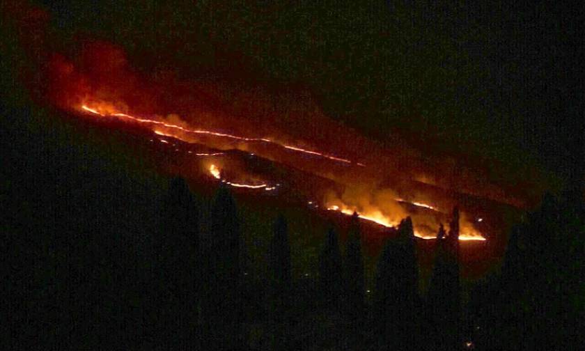 Φωτιά ΤΩΡΑ: Υπό μερικό έλεγχο η πυρκαγιά στο δήμο Μινώα Πεδιάδας Κρήτης