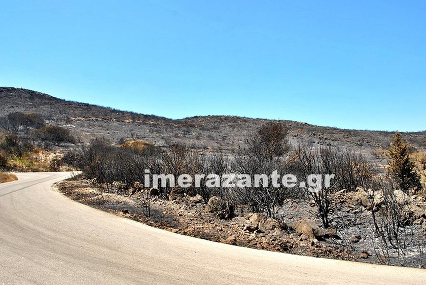 Φωτιά Ζάκυνθος: Κρανίου τόπος το νησί - Χιλιάδες στρέμματα έγιναν στάχτη (pics)