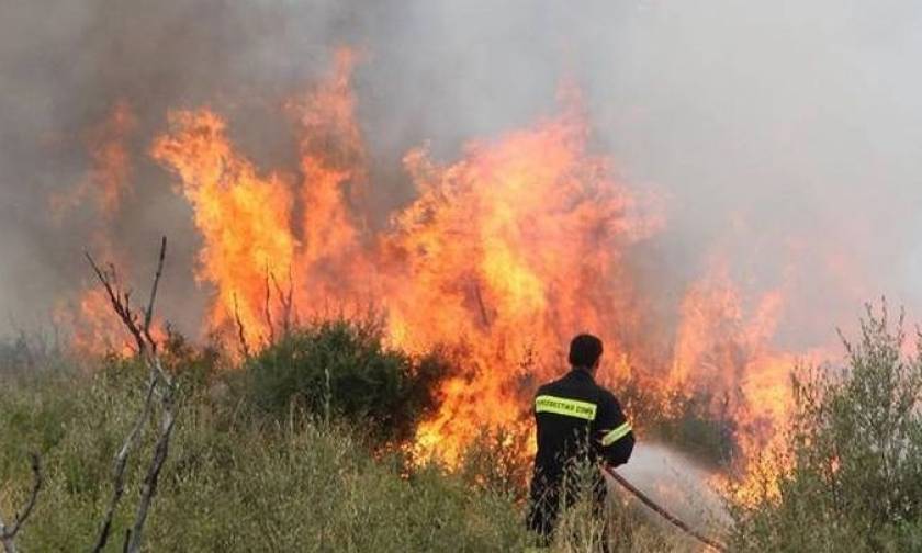 Φωτιά ΤΩΡΑ: Σε εξέλιξη πυρκαγιά στις Αρχάνες Ηραλείου