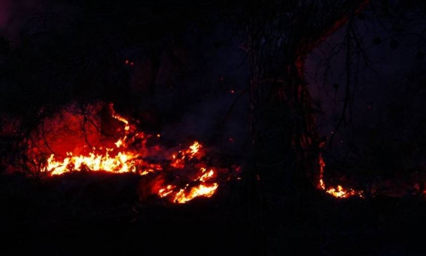 Φωτιά Λάρισα: Πυρκαγιά στο Κόκκινο Νερό