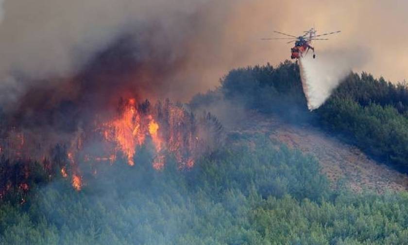 Φωτιά ΤΩΡΑ: Πυρκαγιά στην Πάργα – Κινδύνεψε πυροσβέστης στα Ιωάννινα